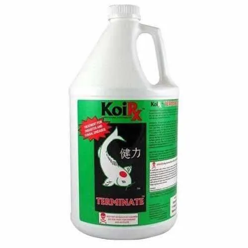 AquaMeds KoiRx Terminate - Koi Parasite Treatment