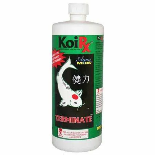 AquaMeds KoiRx Terminate - Koi Parasite Treatment