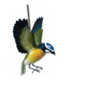 Bird - Hanging
