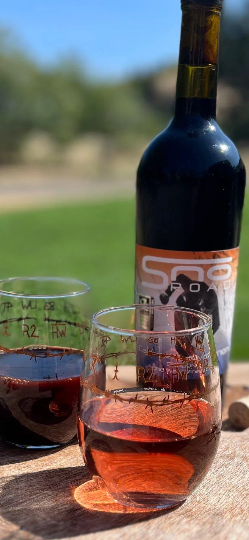 Blue Mountain Brands Stemless Wine Glasses