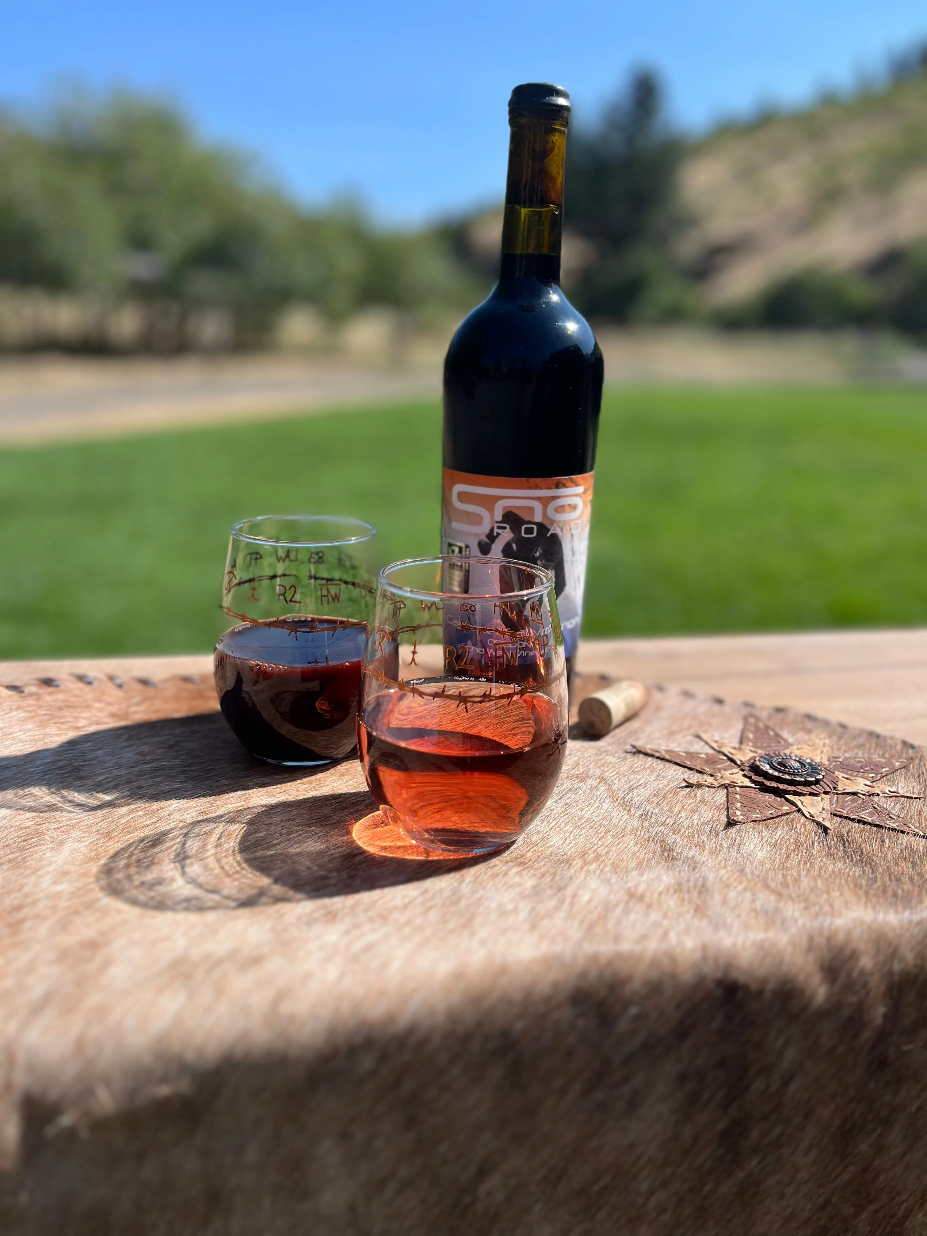 Blue Mountain Brands Stemless Wine Glasses