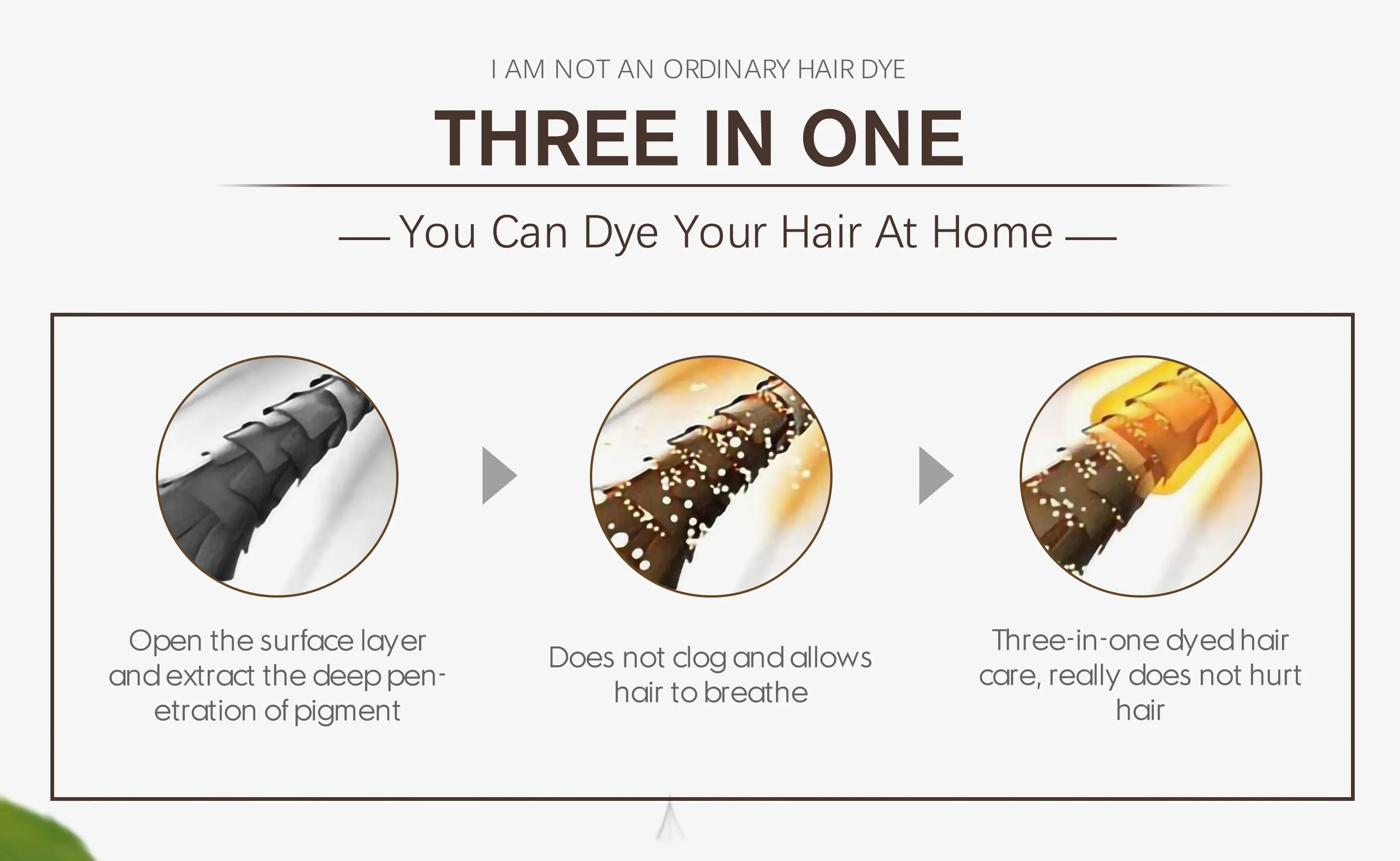 Chestnut Brown Herbishh Color Shampoo