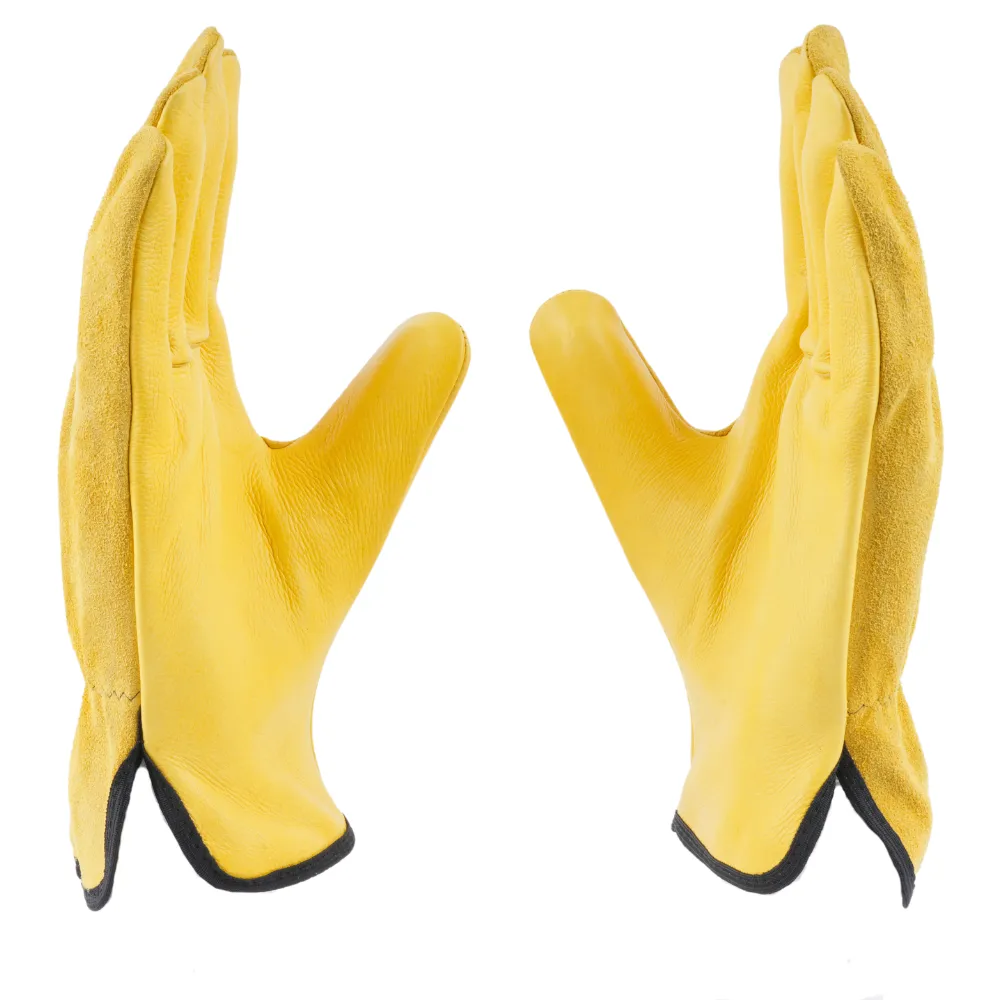 D762