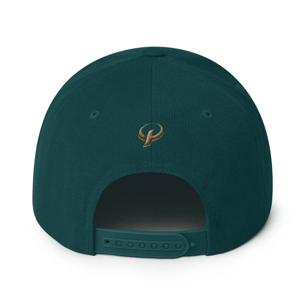Presidential® Clothing Co P On Back | Snapback Hat