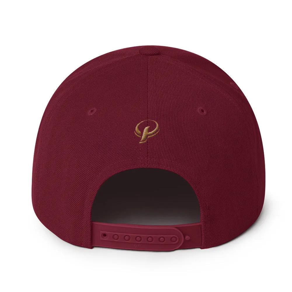 Presidential® Clothing Co P On Back | Snapback Hat