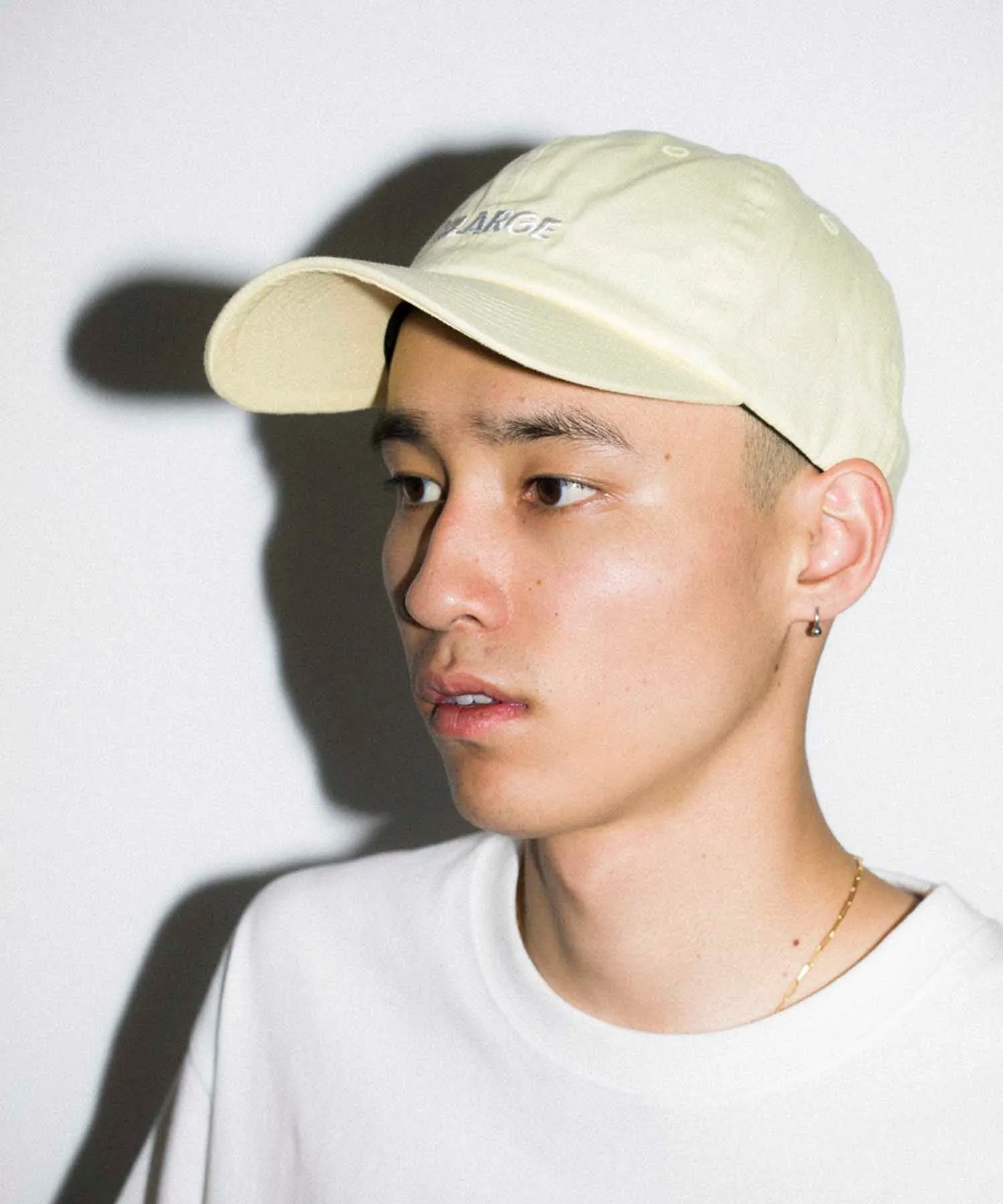 STANDARD LOGO 6PANEL CAP