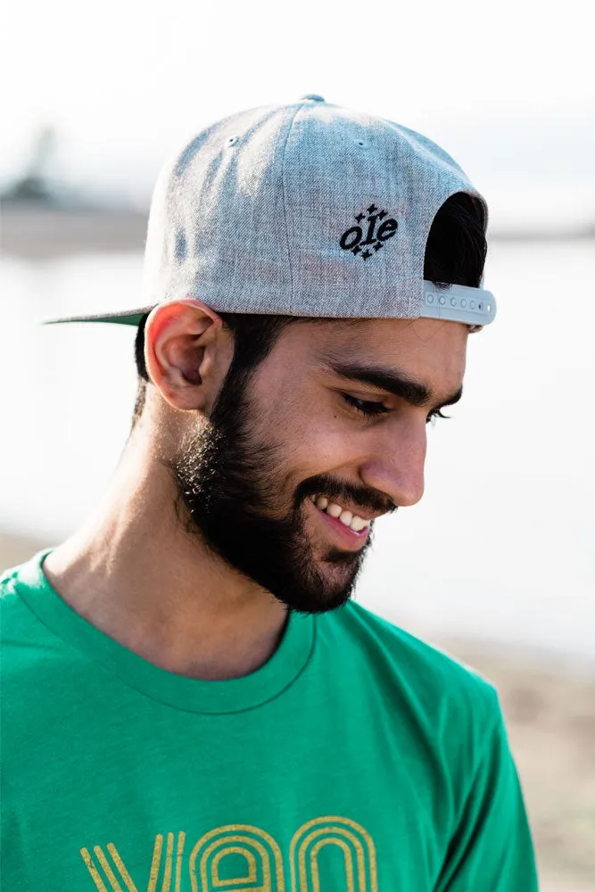 Van Lions Gate Snapback Cap