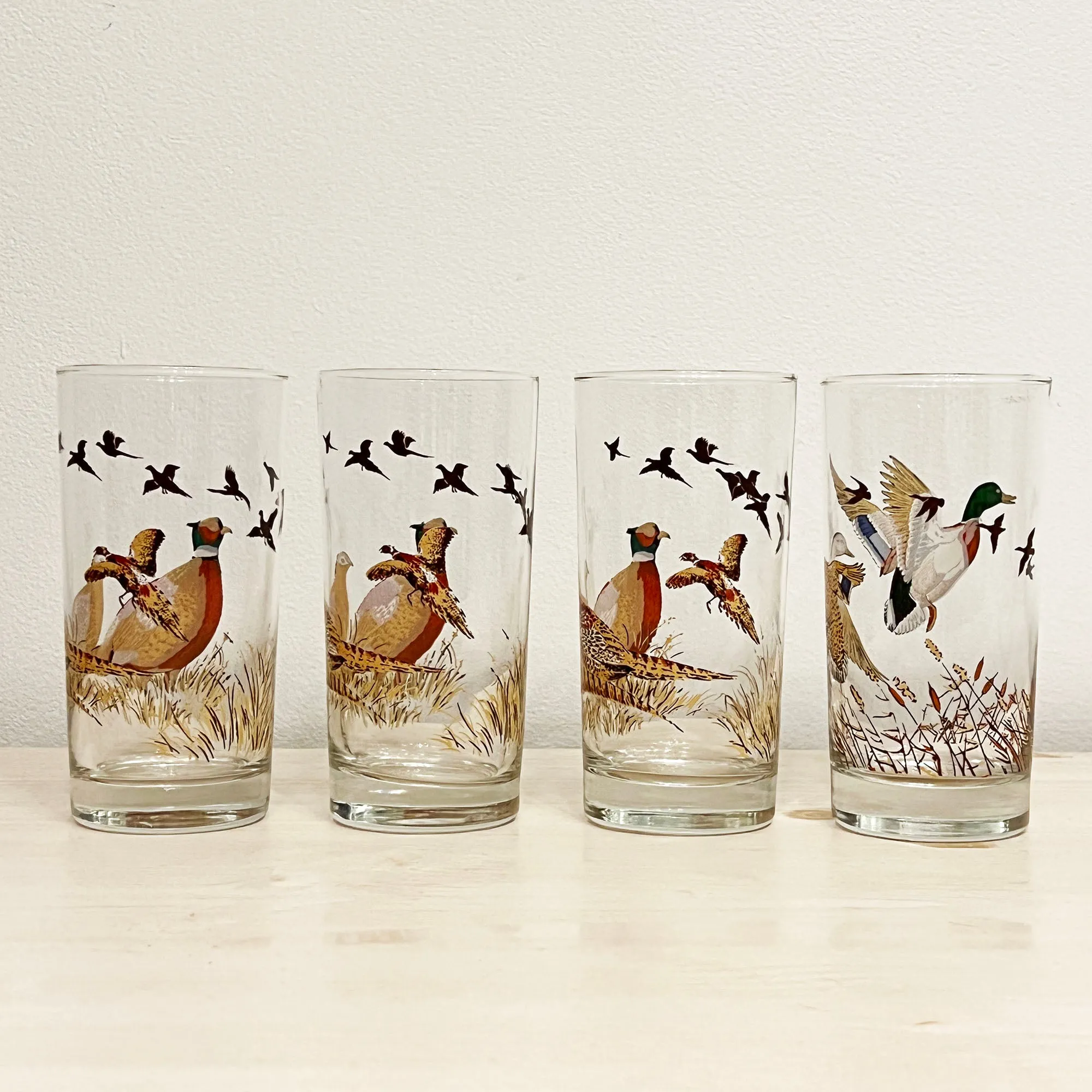 Vintage Libbey Wild Bird, Duck, Pheasant Highball Bar Glasses Set
