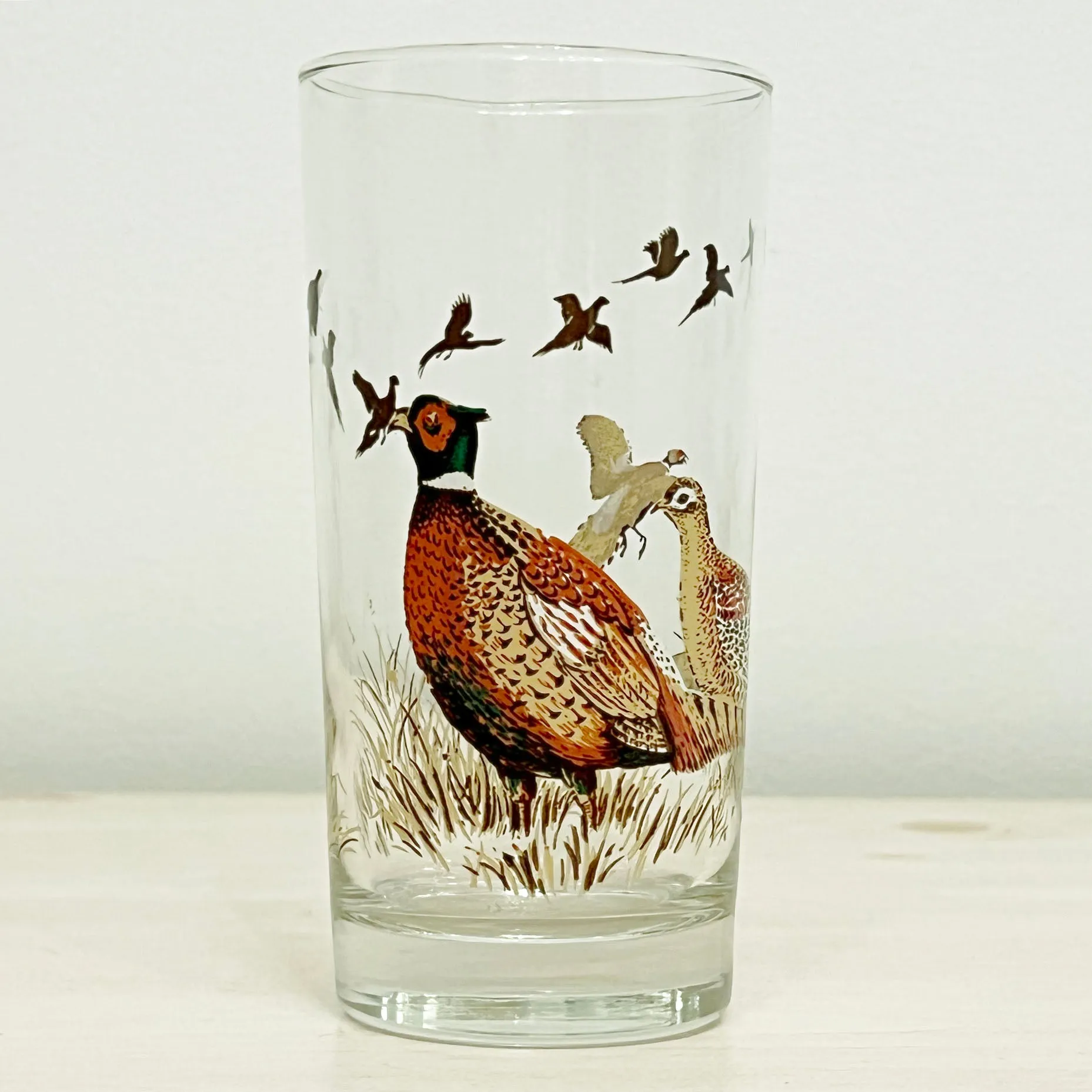 Vintage Libbey Wild Bird, Duck, Pheasant Highball Bar Glasses Set