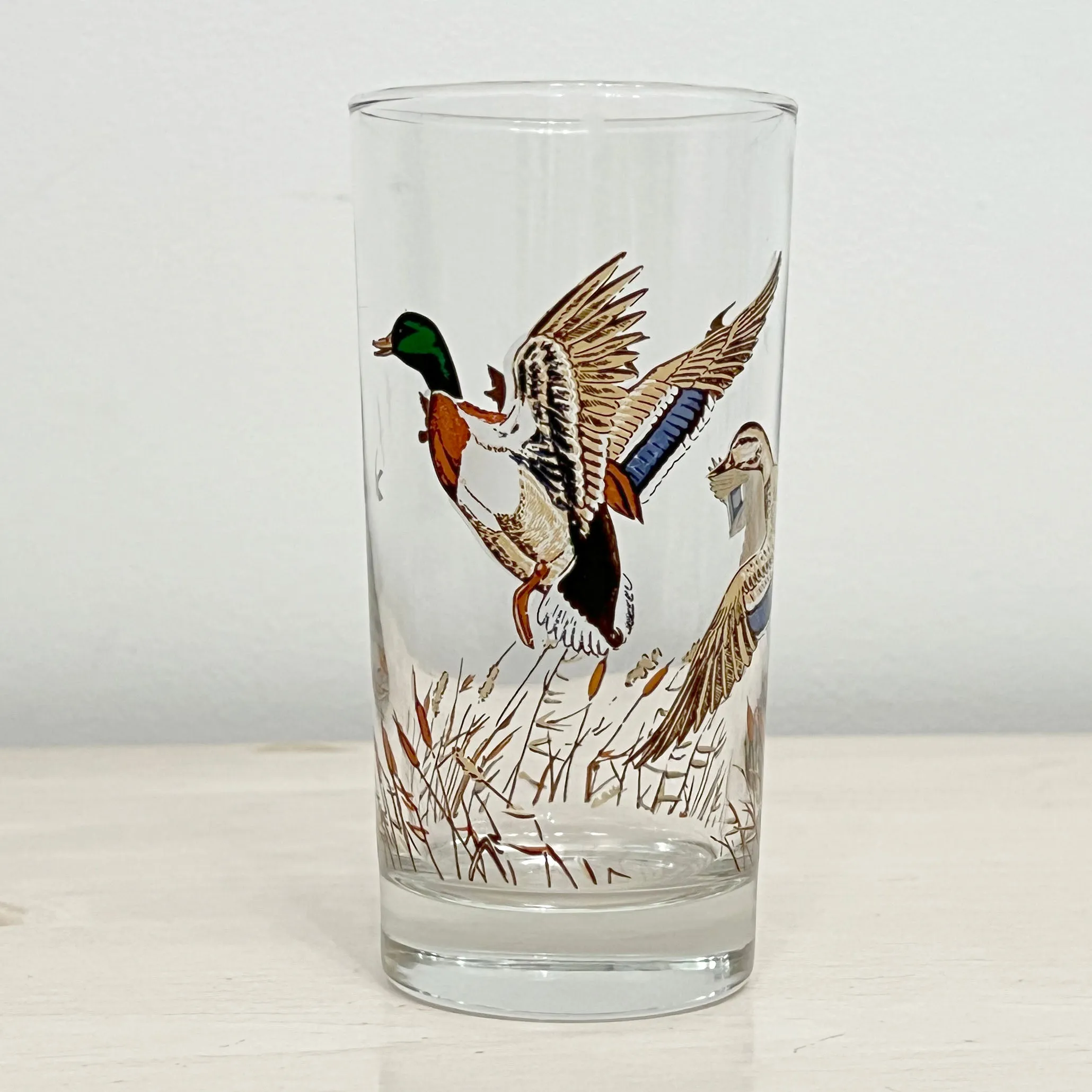 Vintage Libbey Wild Bird, Duck, Pheasant Highball Bar Glasses Set